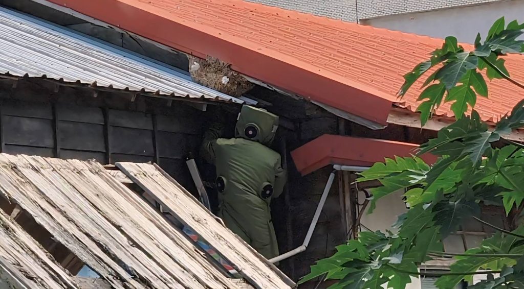 S__457629708_0 - 報新聞 Mega News S 457629708 0 1024x566 1