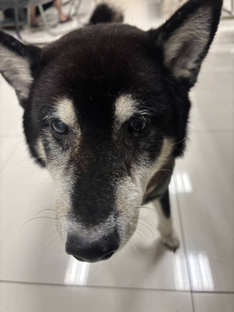 S 458006568 0 768x1024 1