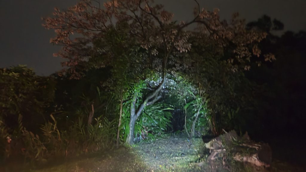 S__458678279_0 - 報新聞 Mega News S 458678279 0 1024x576 1