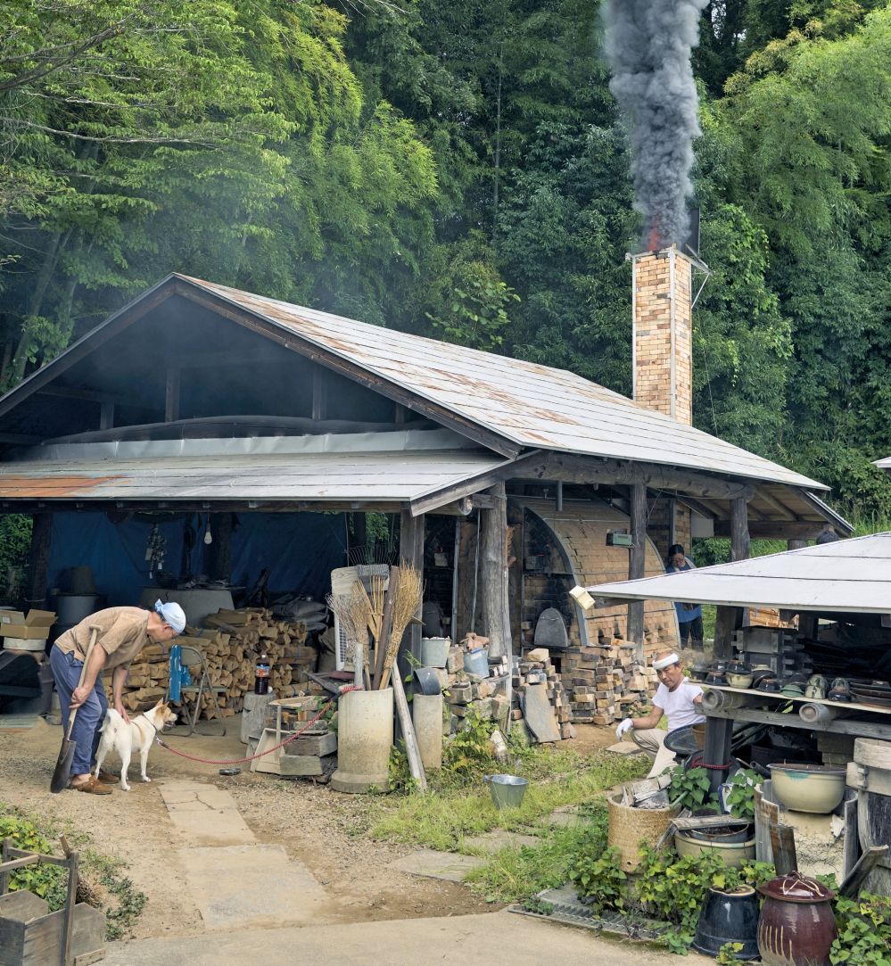 14 - 報新聞 Mega News 14