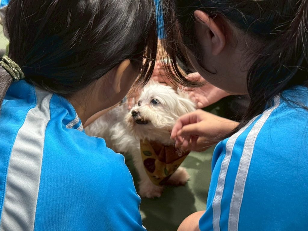 APA%E6%A0%A1%E5%9C%92%E5%8B%95%E4%BF%9D%E6%95%99%E8%82%B2%E5%AE%A3%E5%B0%8E%E6%B4%BB%E5%8B%9500002 1024x768 1