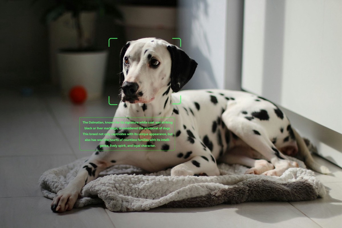 嘖嘖開賣不到7天突破3千萬!樂奇Rokid Glasses AI智慧眼鏡引爆話題 旅展與資訊月同步登場 10 0d3be625 219b 4194 8338 84e576018cc9 176233889035731884108525390