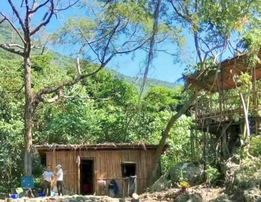 179384_Fotor - 報新聞 Mega News 179384 Fotor