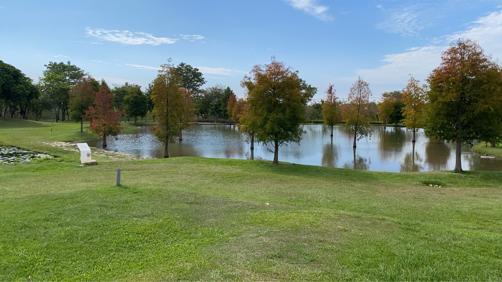 05 %E5%A6%82%E8%A9%A9%E6%84%8F%E8%88%AC%E7%9A%84%E7%BE%8E%E6%99%AF %E5%B0%B1%E5%9C%A8%E5%90%8E%E9%87%8C%E7%92%B0%E4%BF%9D%E5%85%AC%E5%9C%92 0