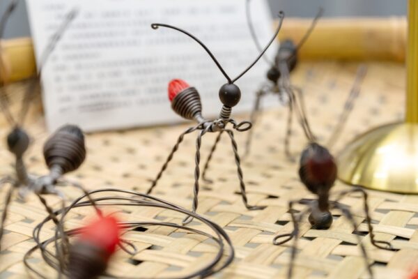 2025臺東慢村生活節將於11/8登場 食光倒轉重現農村慢生活風景 6 20251107164936 78 600x400 1