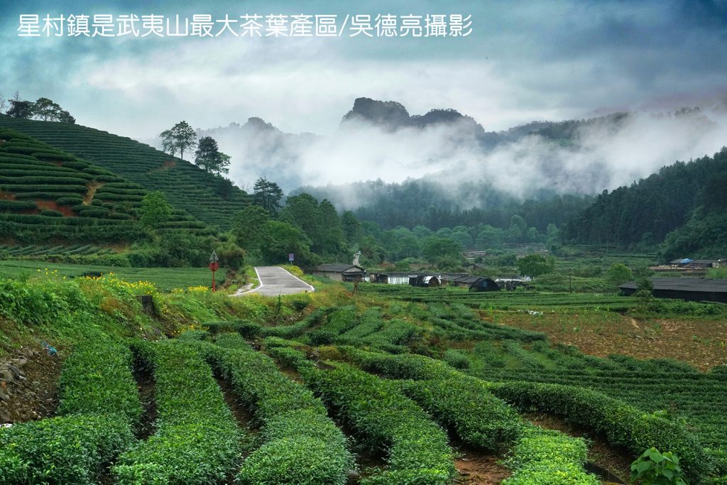 武夷山星村鎮桐木村00010 - 報新聞 Mega News %E6%AD%A6%E5%A4%B7%E5%B1%B1%E6%98%9F%E6%9D%91%E9%8E%AE%E6%A1%90%E6%9C%A8%E6%9D%9100010 1024x683 1