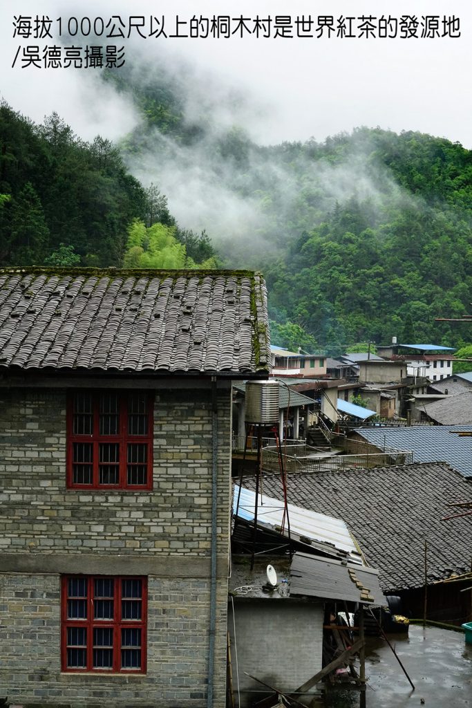 武夷山星村鎮桐木村00006 - 報新聞 Mega News %E6%AD%A6%E5%A4%B7%E5%B1%B1%E6%98%9F%E6%9D%91%E9%8E%AE%E6%A1%90%E6%9C%A8%E6%9D%9100006 683x1024 1