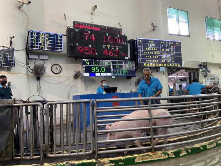 高雄市肉品市場今日恢復拍賣 價格穩定供應充足 4 20251107190345 7a4519c8