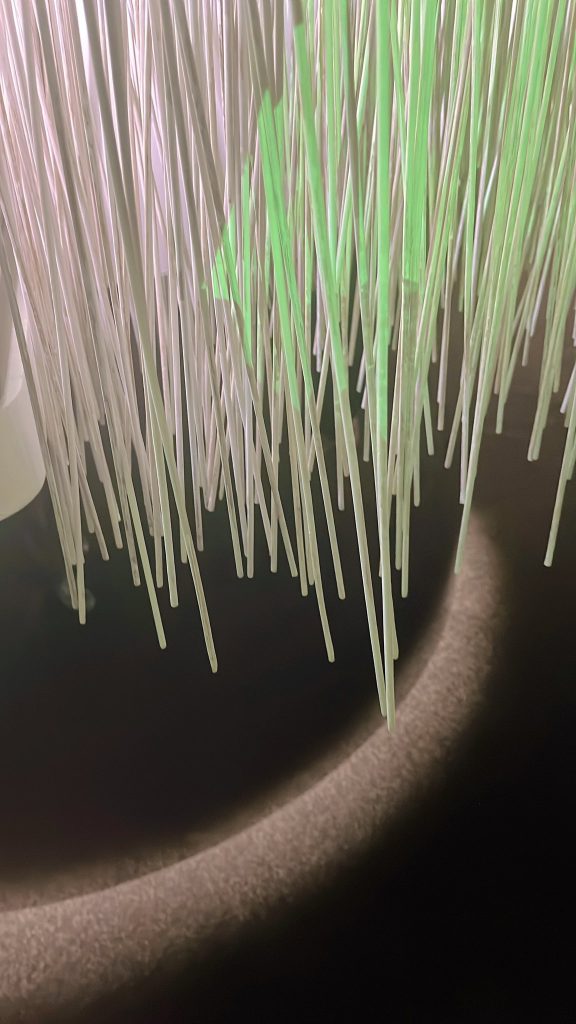 Cindy Chao 00005 576x1024 1