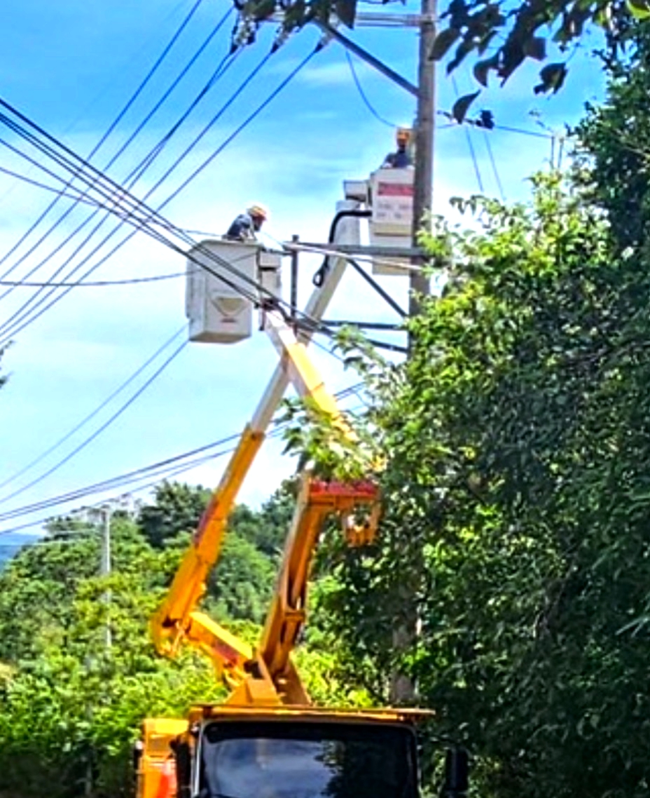 S__85025106_0_Fotor4 - 報新聞 Mega News S 85025106 0 Fotor4