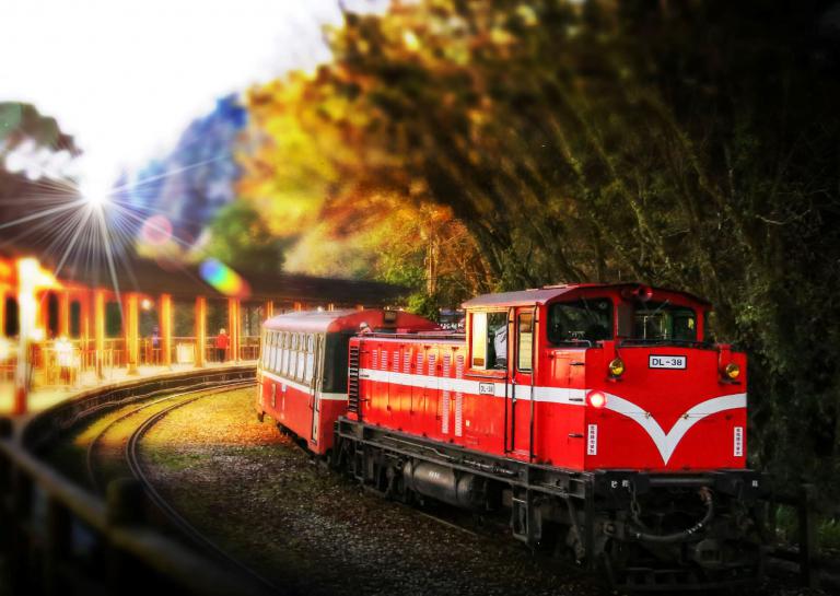 2025全球必訪旅遊勝地夢幻楓景、磅礡雲海登場 阿里山賓館邀請生態攝影達人黃源明”玩攝阿里山楓紅假期” 4 20251108204944 f771f63b