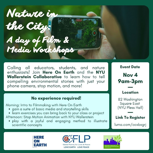 3 - 報新聞 Mega News 3 4