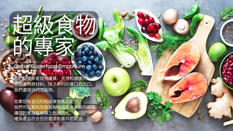 綠能浪潮下的漁業困境 — 台灣離岸風電恐淪為海上「覓食難民」 - 報新聞 Mega News 2 1 upscayl 5x upscayl lite 4x 800x450 1