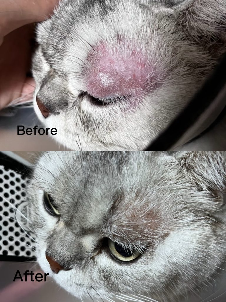 %E6%A1%88%E4%BE%8B%E4%B8%80 768x1024 1