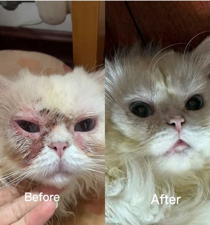 %E6%A1%88%E4%BE%8B%E4%BA%8C