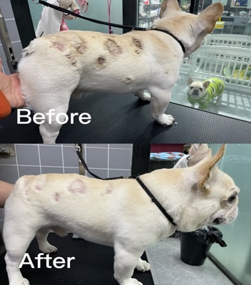 %E6%A1%88%E4%BE%8B%E4%B8%89