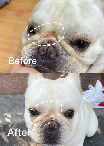 %E6%A1%88%E4%BE%8B%E5%9B%9B