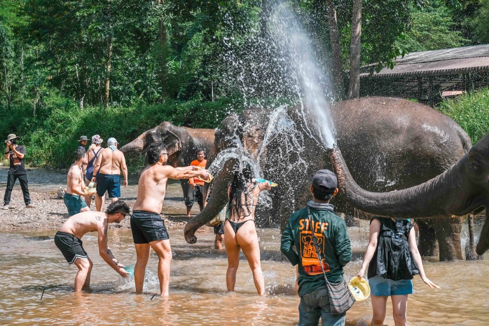 16e12e9f 4dbf 44e3 8bee 83534579b109 176293556000776658701529562