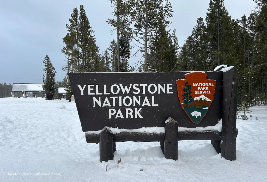 No 250006-3 Yellow stone N_P 來源 Yellowstone N_P - 報新聞 Mega News No 250006 3 Yellow stone N P %E4%BE%86%E6%BA%90 Yellowstone N P 1024x699 1