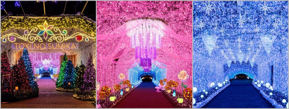 6b2f6fc8 9aa1 4589 a5d2 9acd6e0f5899 176308290581185547809113597