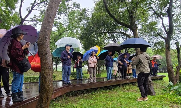 八德埤塘濕地生態保育園區 復育可抗逆境特性野生「鬼稻」 10 f 29171355 1