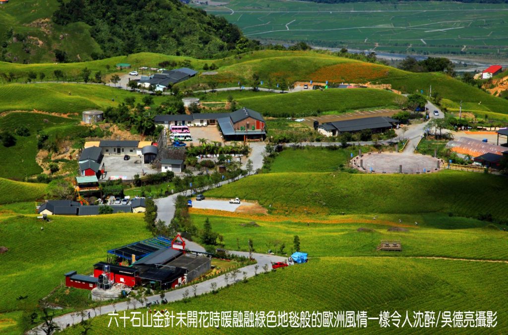 %E8%8C%B6%E9%A6%99%E8%88%87%E9%87%91%E9%87%9D%E8%8A%B1%E5%9C%A8%E6%9D%B1%E5%8F%B0%E7%81%A3%E5%B0%8F%E7%91%9E%E5%A3%AB%E5%85%B1%E8%88%9E00004 1024x677 1