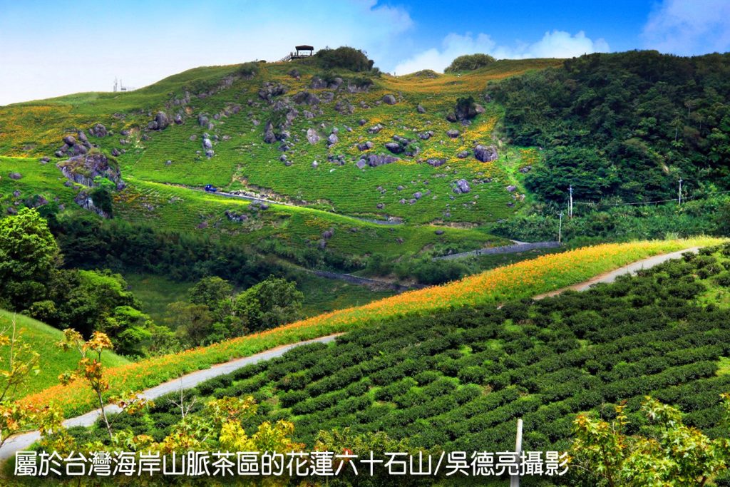 %E8%8C%B6%E9%A6%99%E8%88%87%E9%87%91%E9%87%9D%E8%8A%B1%E5%9C%A8%E6%9D%B1%E5%8F%B0%E7%81%A3%E5%B0%8F%E7%91%9E%E5%A3%AB%E5%85%B1%E8%88%9E00002 1024x683 1