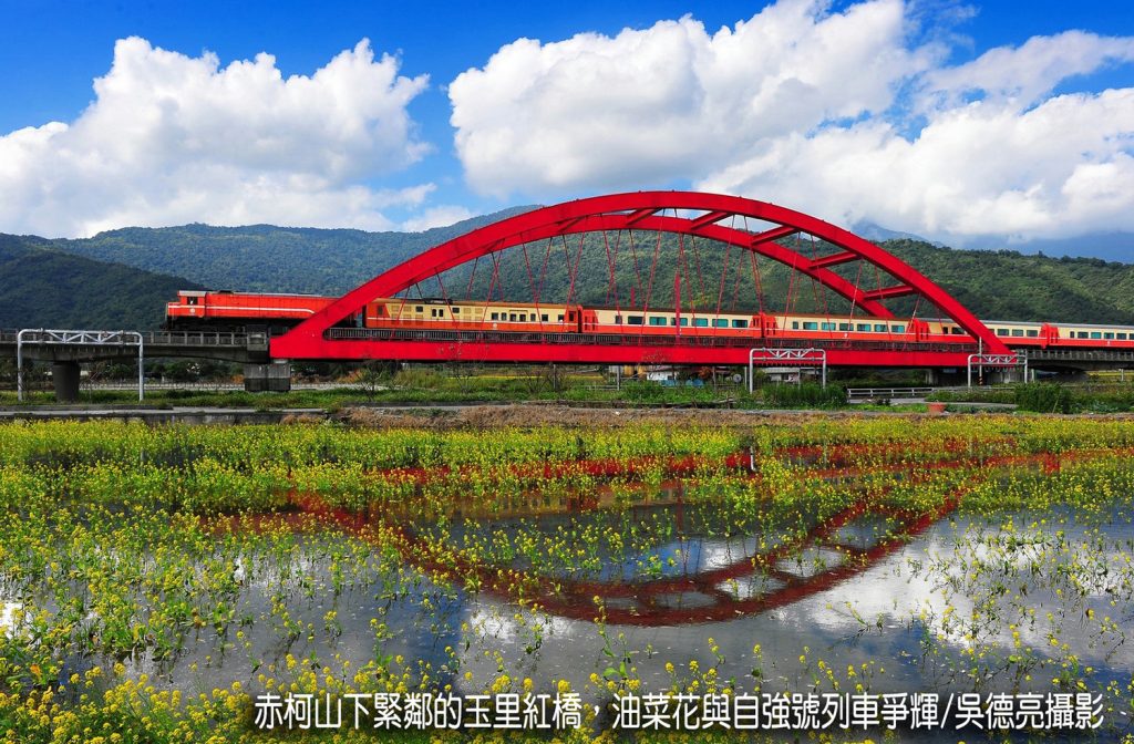 %E8%8C%B6%E9%A6%99%E8%88%87%E9%87%91%E9%87%9D%E8%8A%B1%E5%9C%A8%E6%9D%B1%E5%8F%B0%E7%81%A3%E5%B0%8F%E7%91%9E%E5%A3%AB%E5%85%B1%E8%88%9E00009 1024x672 1