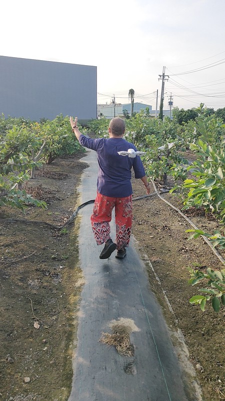 聖帝宮造生基落址高雄大崗山龍穴 關聖帝君欽點寶地吸引全台善信轉運 9 1d369394 b60d 4be7 8177 4637afdd4ffd 176326390351330347308137212