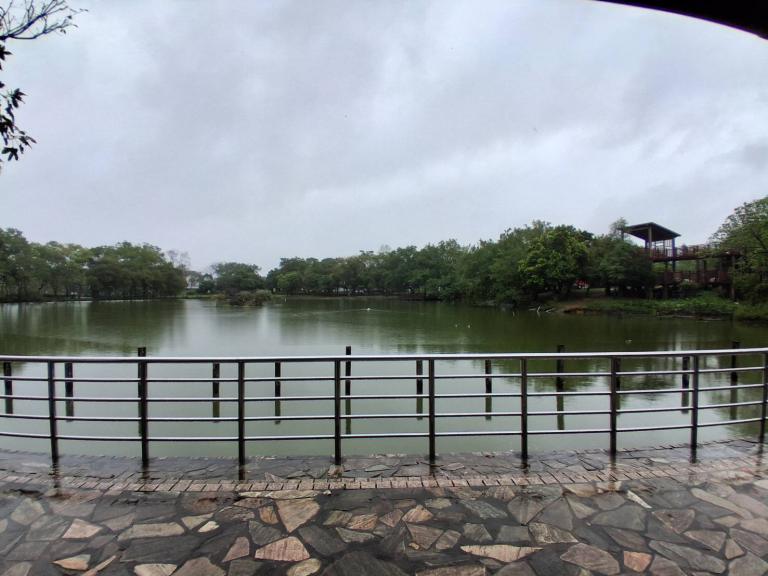 八德埤塘展現濕地生態魅力 自然教育體驗走入城市珍貴生態寶庫 7 20251116170035 0214e307