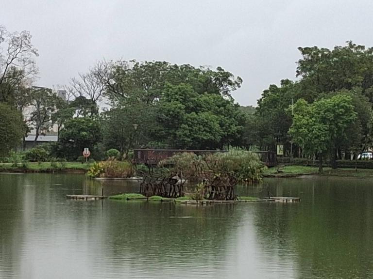 八德埤塘展現濕地生態魅力 自然教育體驗走入城市珍貴生態寶庫 8 20251116170123 8dfb572f