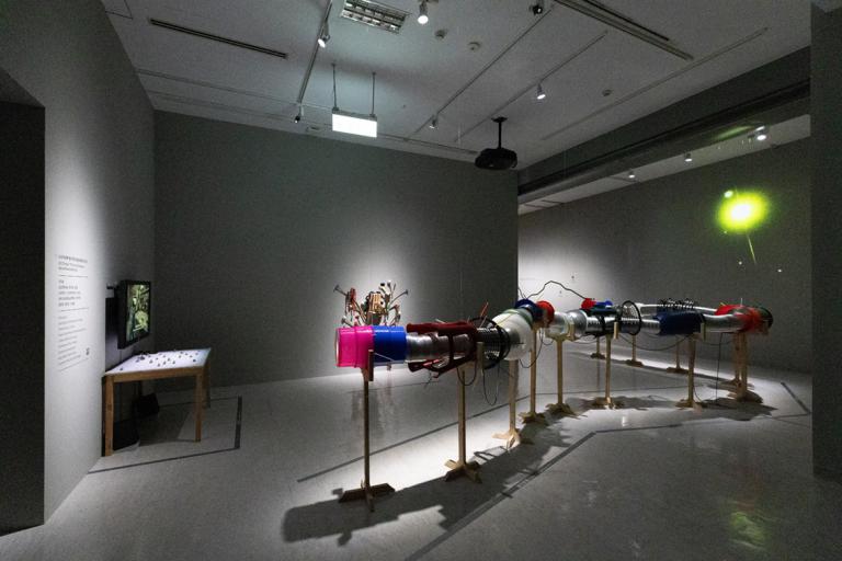 「黑水—2025臺灣美術雙年展」 31組藝術家展現多重殖民下的當代視野 6 20251117003947 a30f812c