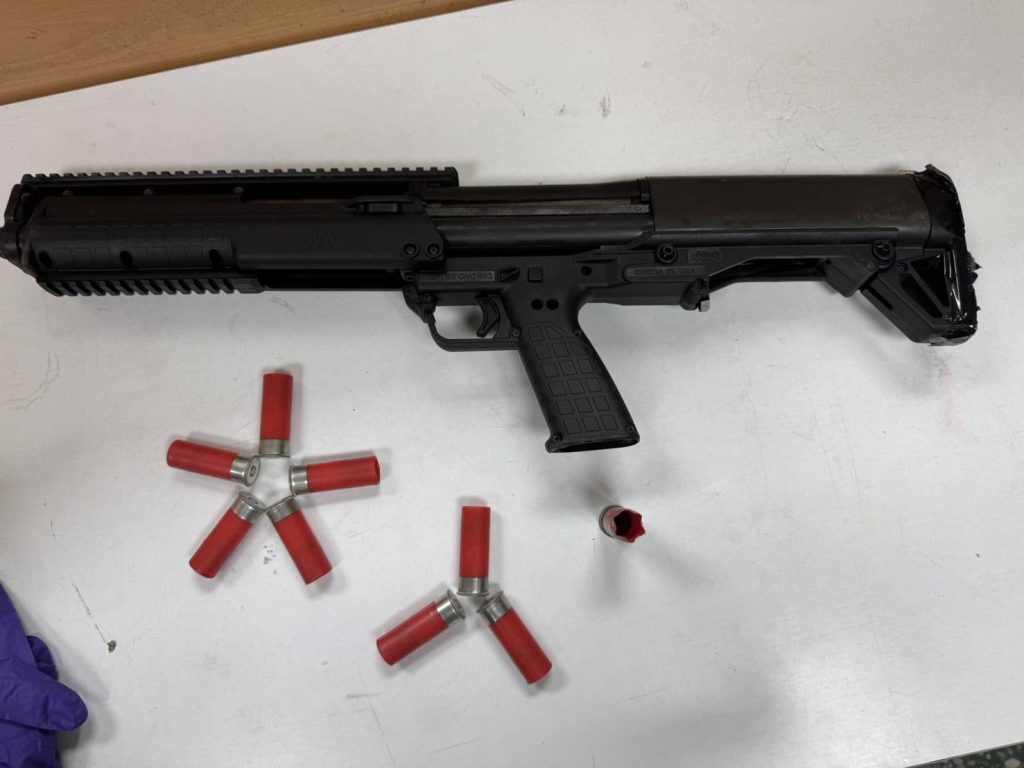 S__464339021_0 - 報新聞 Mega News S 464339021 0 e1763361034664 1024x768 1