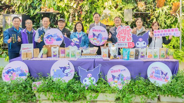 「2025桃園仙草嘉年華」11/22夢幻登場 張市長邀市民感受紫色花海浪漫魅力 17 f 29176206 1