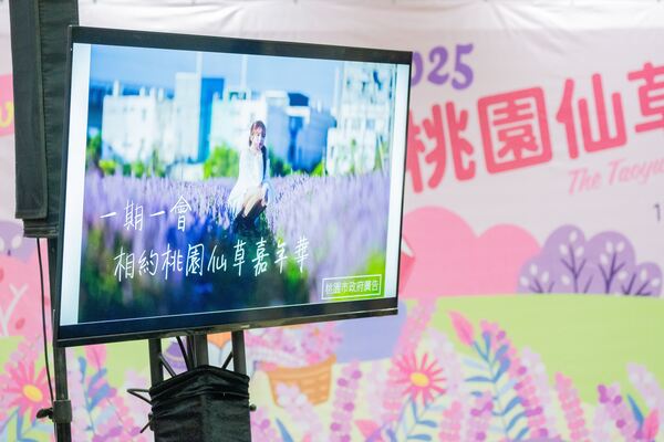 「2025桃園仙草嘉年華」11/22夢幻登場 張市長邀市民感受紫色花海浪漫魅力 19 f 29176203 1