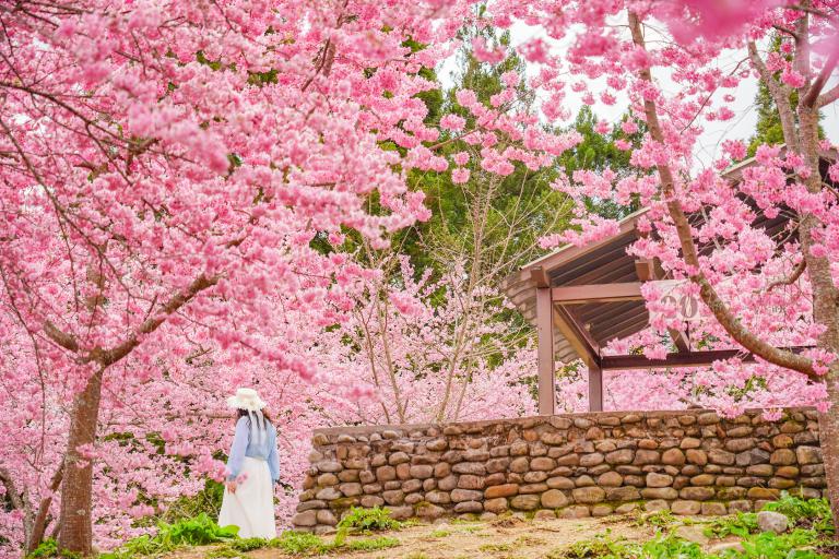 20251119012459 06568a8c