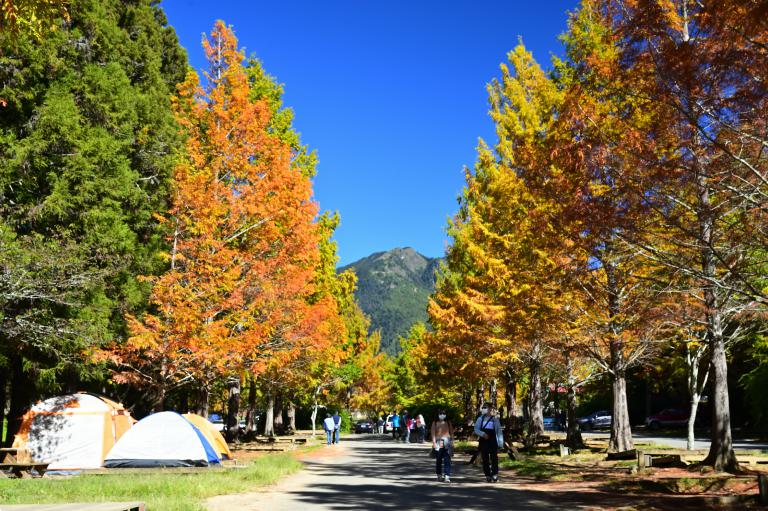 20251119012535 aaeb2a76