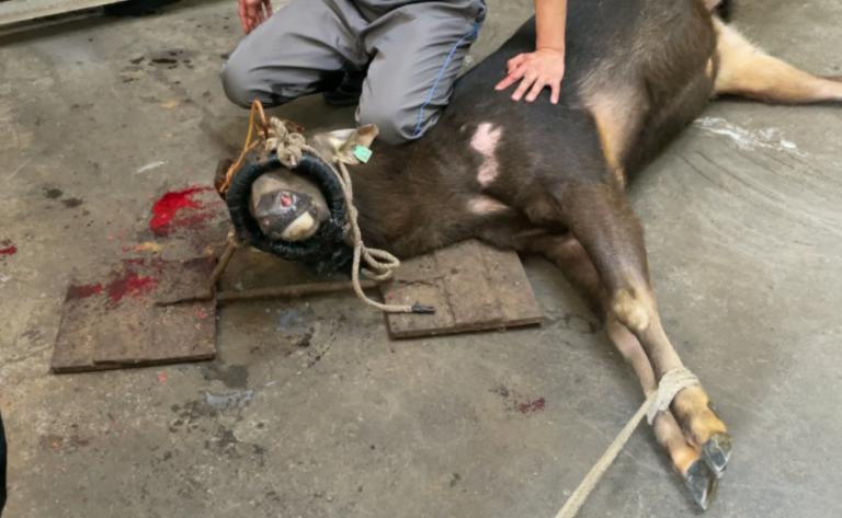 20251118232312 57080d7b