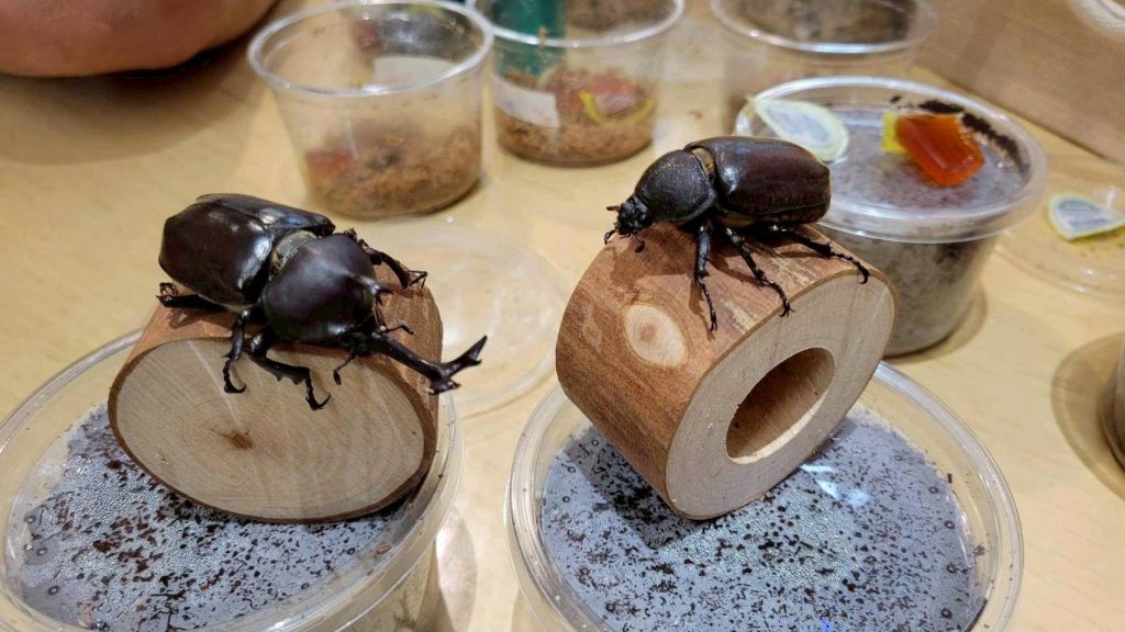 S__465756169 - 報新聞 Mega News S 465756169 1024x576 1