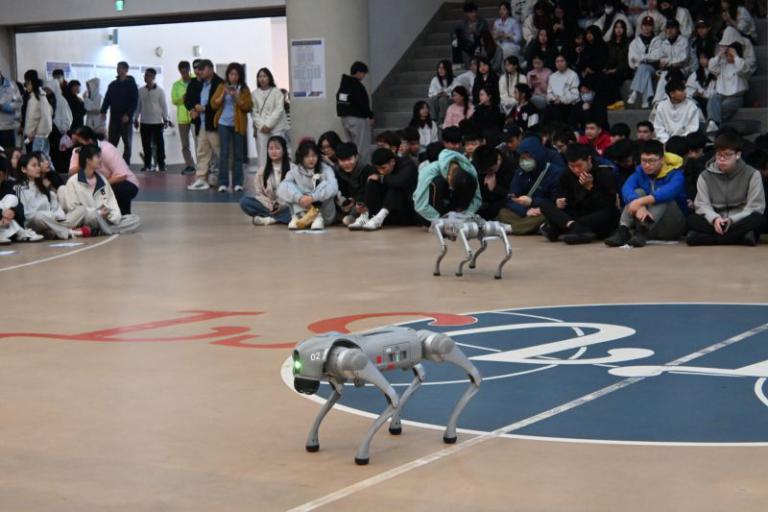 20251120222237 8ae28bd5