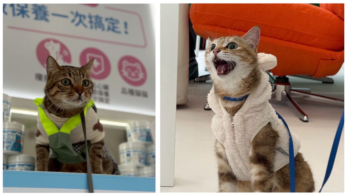 d4b25961 394c 42c3 a3dc bb1b4688a498 176371107208305070804970508