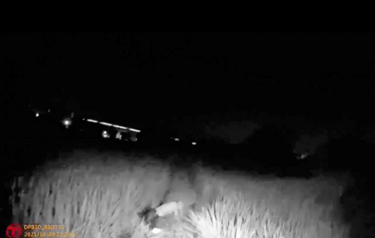 20251122111241 cbf87544