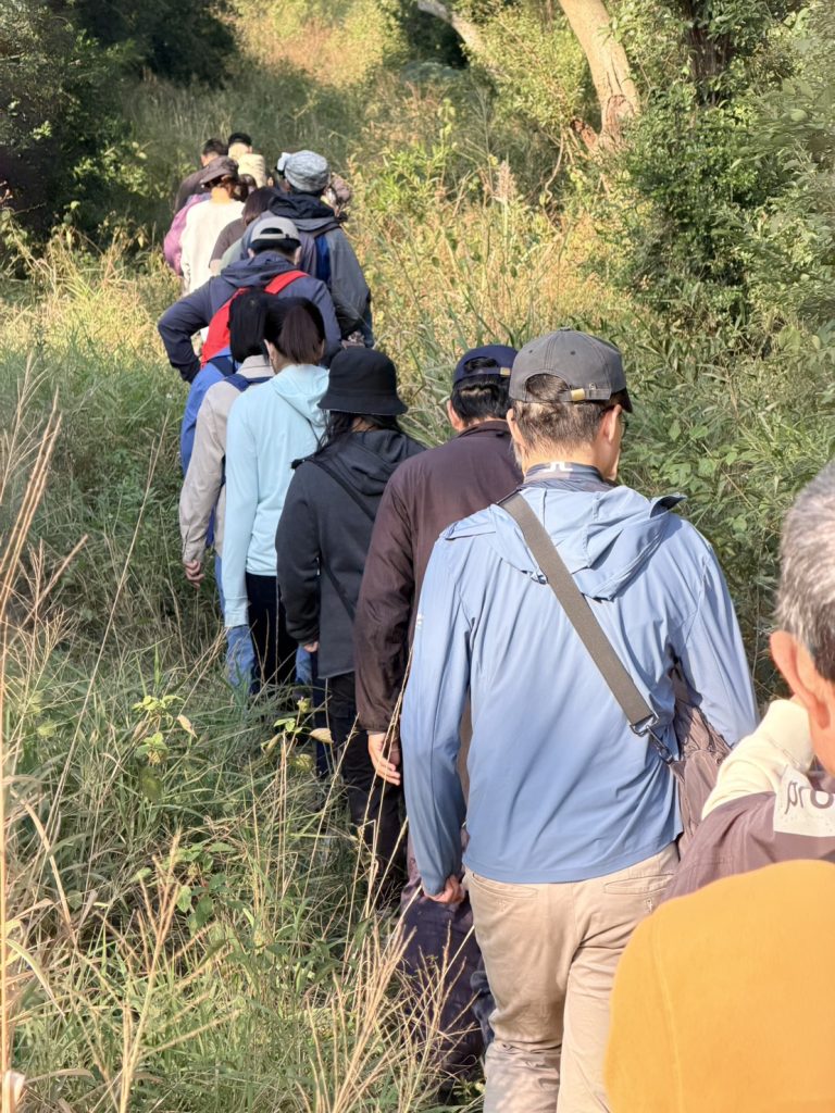 S 3719173 0 768x1024 1