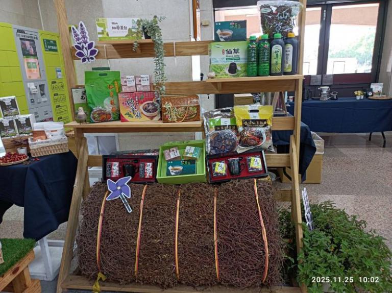 20251125133835 afeedd7b