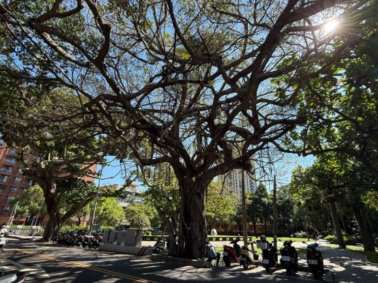 20251126173420 25da4d0f