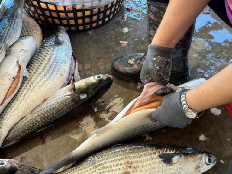 20251126174142 1d4954a5