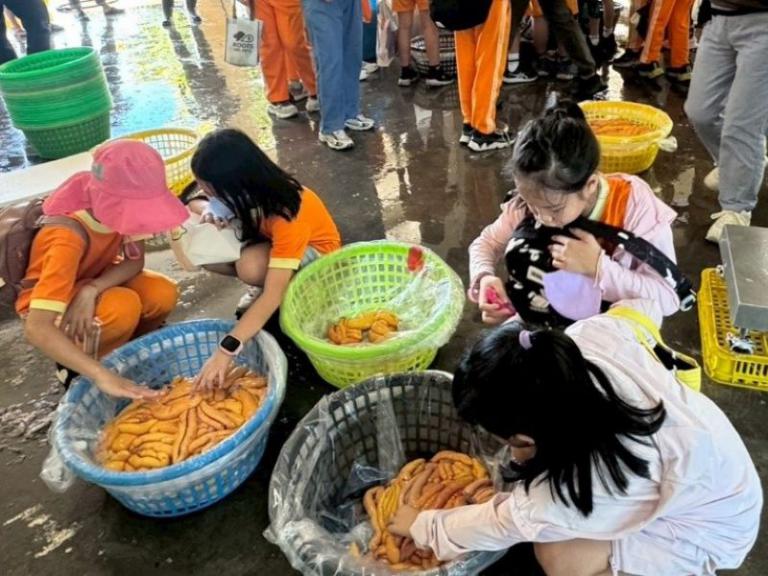 20251126174255 e33d1374