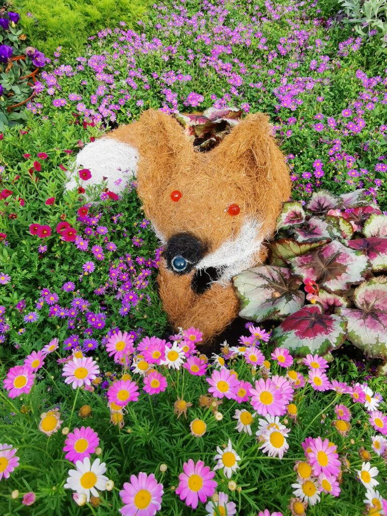 IMG 20251126 100444 768x1024 1 1