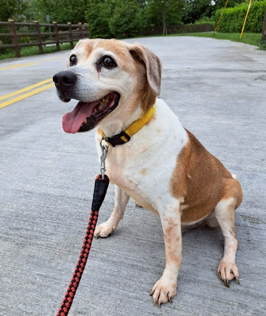 messageImage_1764059004356_0 - 報新聞 Mega News messageImage 1764059004356 0