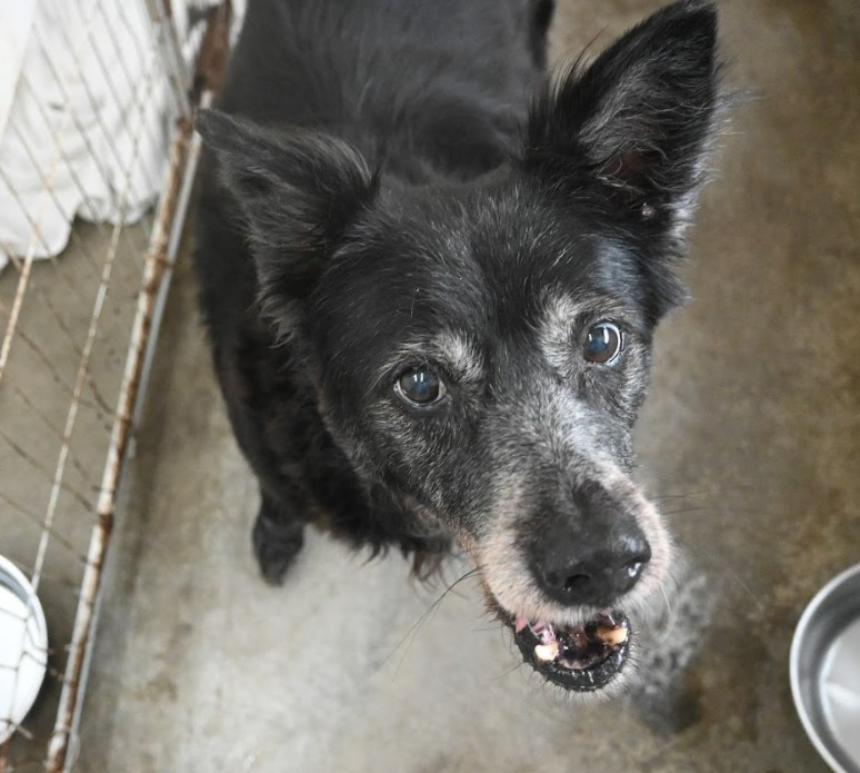 messageImage_1764059021930_0 - 報新聞 Mega News messageImage 1764059021930 0